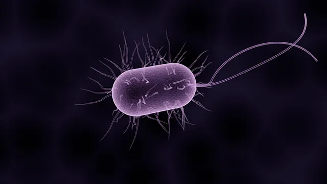 Leczenie infekcji intymnych Gdańsk — wymazy i diagnostyka mikrobiologiczna